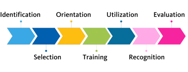 Diagram of the seven-step ISOTURE Model: Identification, Selection, Orientation, Training, Utilization, Recognition, and Evaluation.