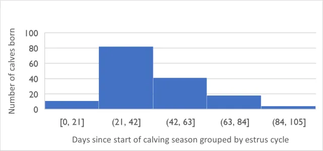 bar graph for website2