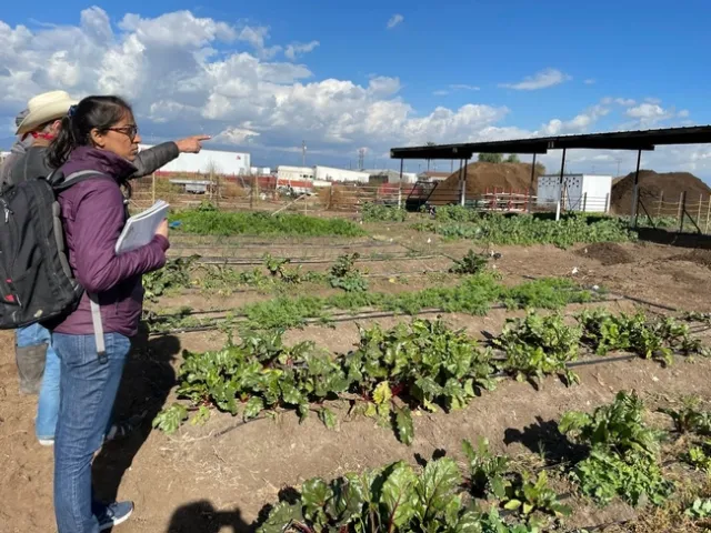 -3314111035323018691