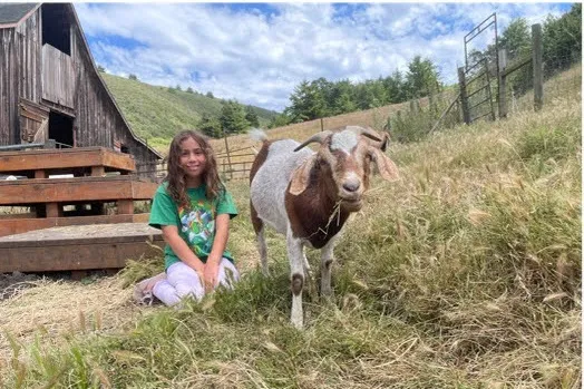 Favorite Animal with Camper