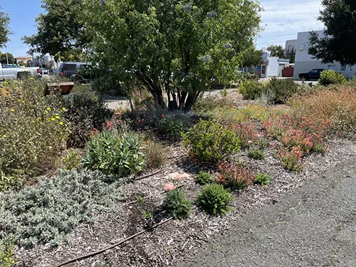 LWG_2_Courtesy Brian Kerss