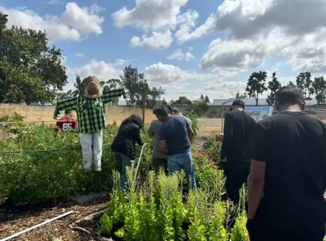 Jardineros_Tara Vaishnav teaches vine pruning techniques to students at Nuestro Jardín_Photo Courtesy May Coleman
