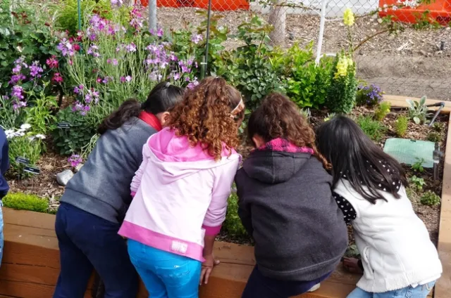 #GiveBack to Grow Forward with UC Master Gardeners of Orange County on Giving Tuesday!