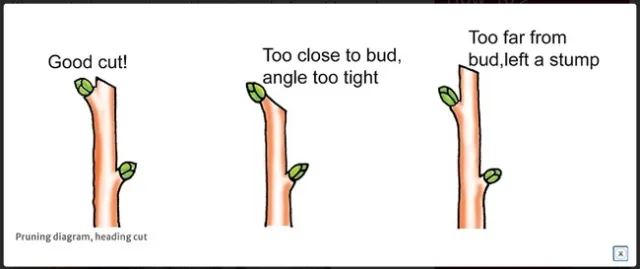 University of Minnesota Extension