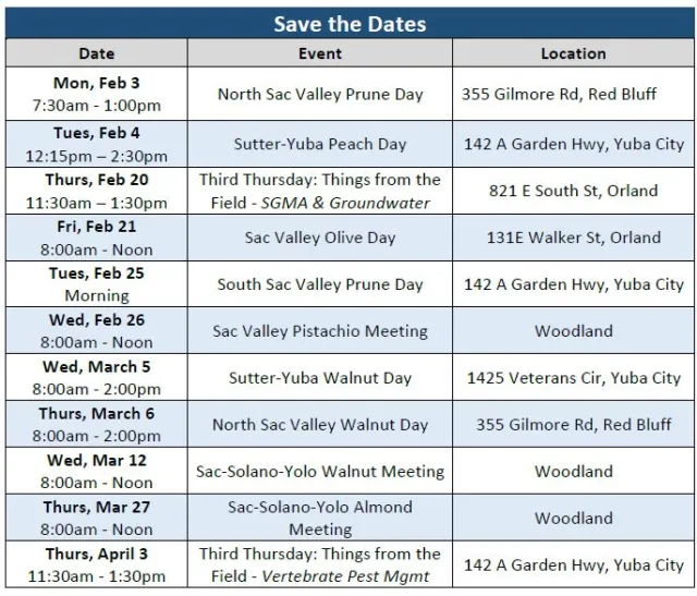 Save the Date Clarissa