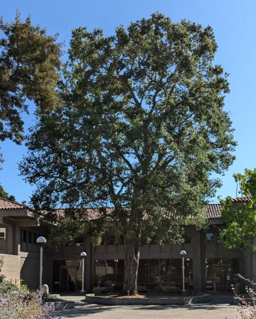 Photo by Cathrin Callas