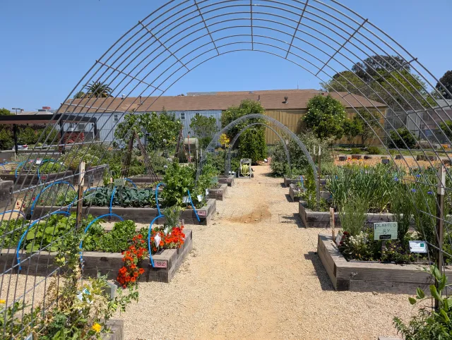 Image of a educational garden at Oakland Unified School District