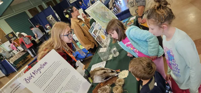 kids learning about birds