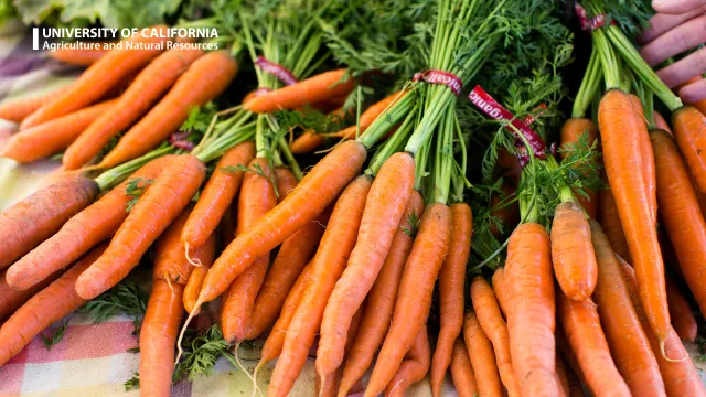 Carrots on a table at the farmers market