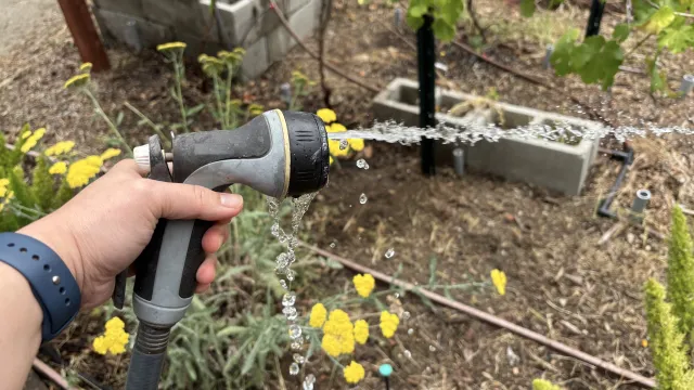 A trigger-style hose nozzle being used in the garden, but water is leaking in the front and sides of the spray head.