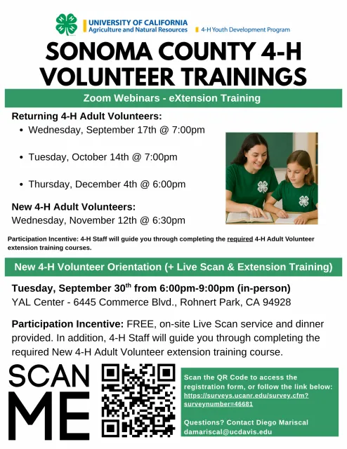 Flyer for Volunteers