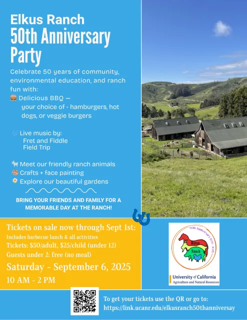 50th Anniversary Flyer