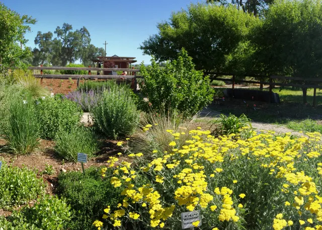 Group plants with the same water requirements on the same water line. Laura Kling