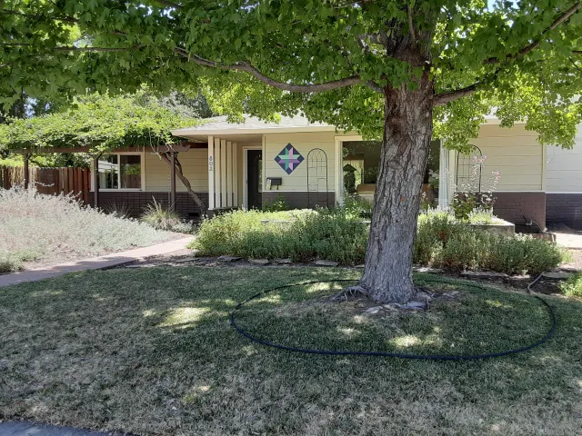 Water large trees with a soaker hose. Laura Lukes