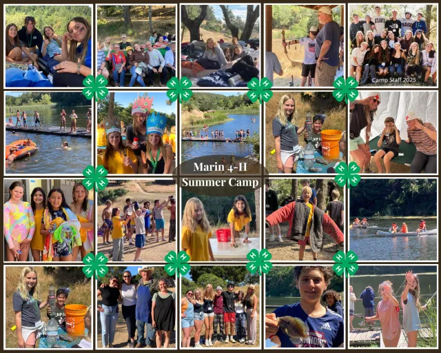 Collage of photos from 4-H summer camp