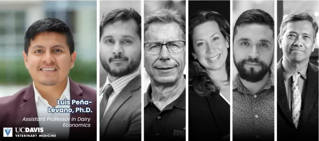 Collage of 6 headshots of 5 men and 1 woman
