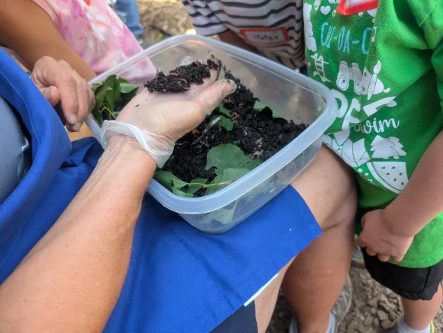 Demonstrating worms and worm composting. Laura Lukes