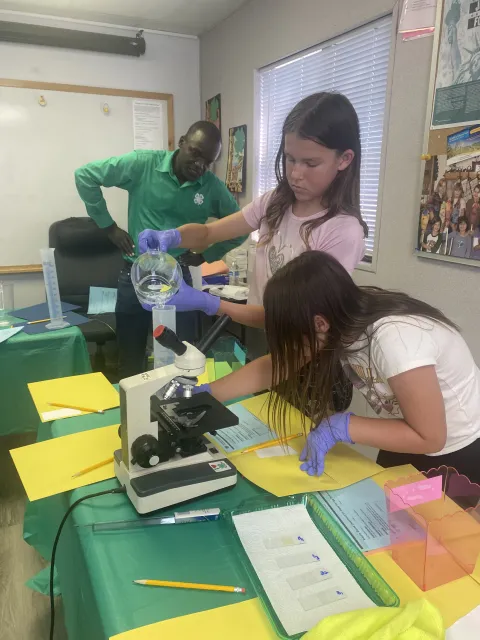 Young people look through a microscope in a classroom