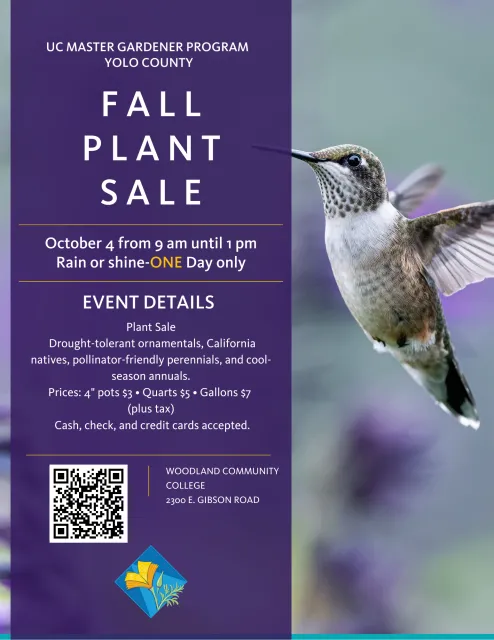 Flyer for the Master Gardeners of Yolo County Fall Plant Sale.