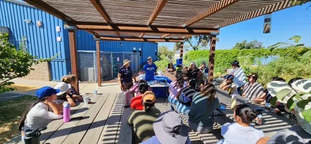 UC Master Gardeners present on irrigation methods. 