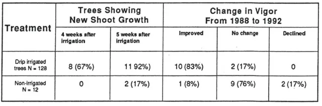 16-summer-irrigation-drip-2