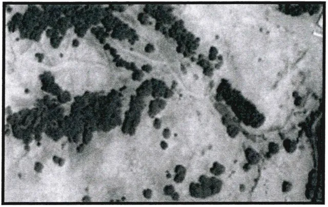 2-Hardwood-Rangeland_1