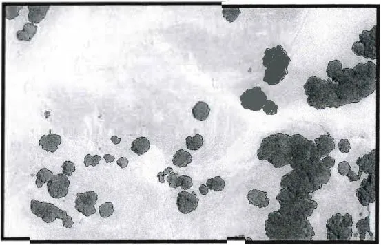 2-Hardwood-Rangeland_2