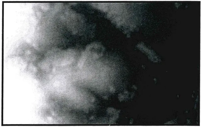 2-Hardwood-Rangeland_3