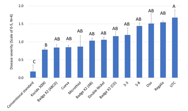 2025 Celery Septoria late blight.jpg