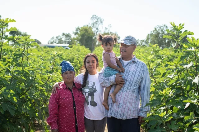 Family of four standing in field of tall crops 