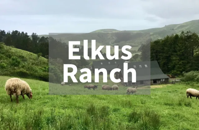Elkus Ranch REC