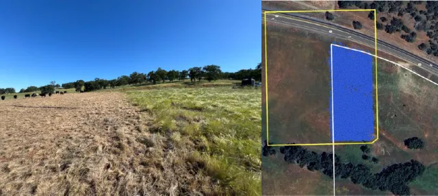 left image shows clear delineation between foraged and un; right image is outline of grazed area on arial map