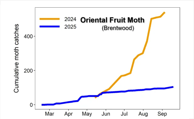 Graph cumulative OFM by year