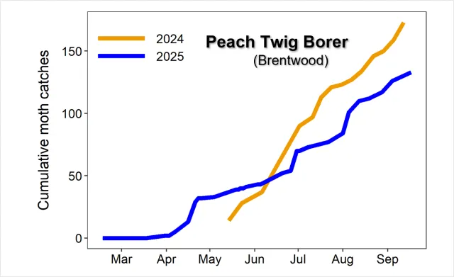 Graph cumulative PTB by year
