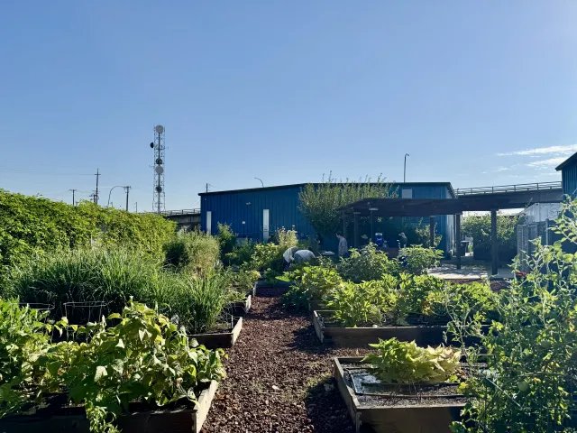 Emergency Food Bank Garden and Orchard.