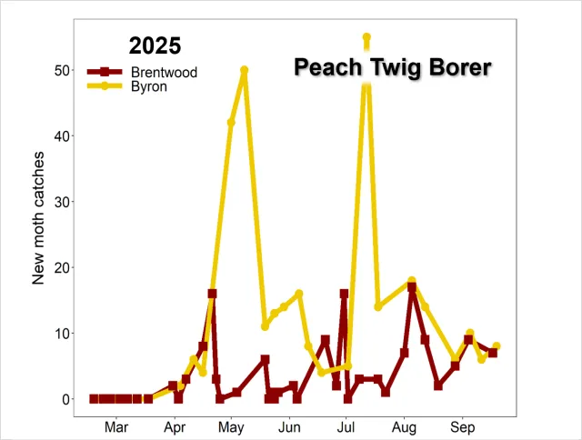 Graph PTB 2025 by site