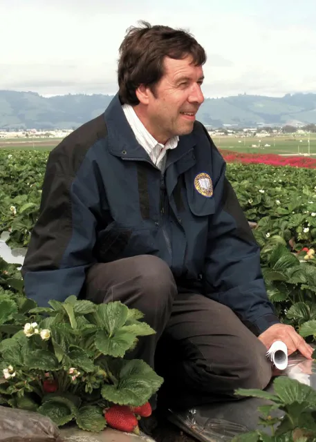 IPM specialist Frank Zalom in strawberry field. (Photo by Ed Show of Driscoll’s)