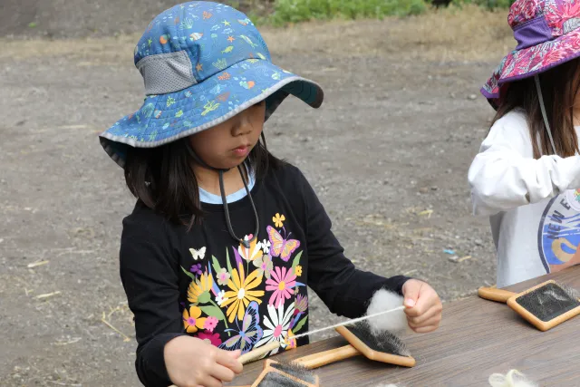 A young girl spins a handful of wool into yarn