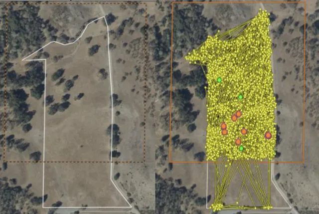 side-by-side image of virtual fence boundary and movement of heifers within it