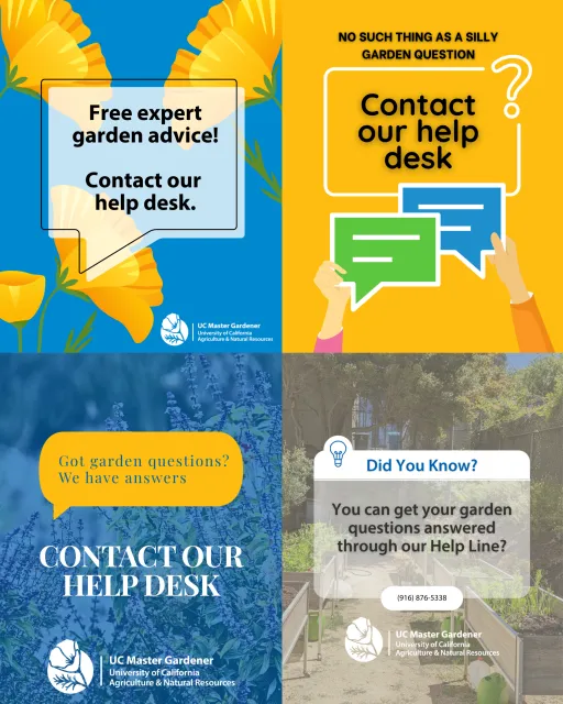 examples of helpdesk promotion social media graphics