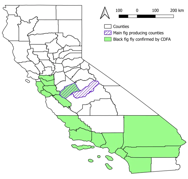 Map of BFF Distribution - October 2025