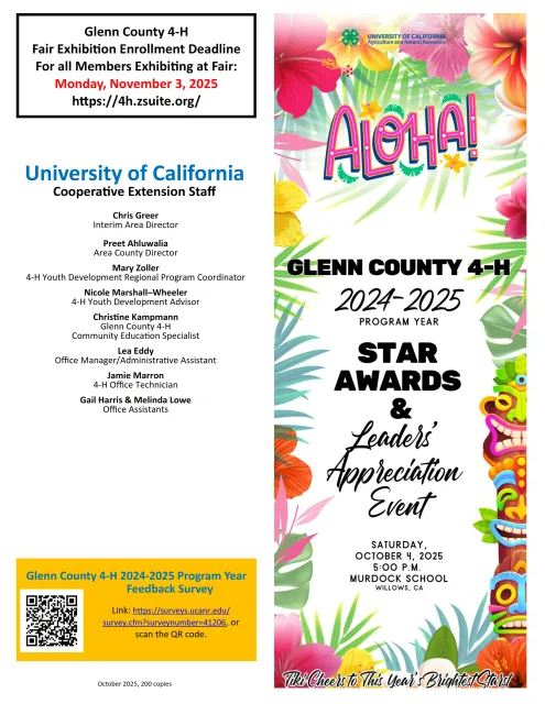 2024-2025 STAR AWARDS PROGRAM Image