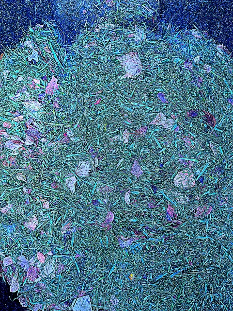 Grass clippings on ground in compost pile