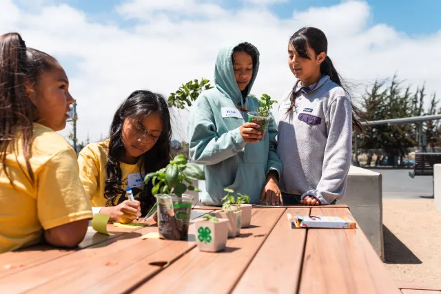 4-H SNAC Students planting and observing plants in the garden