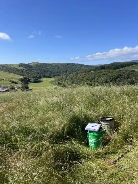 Rangeland in Sonoma County, part of soil health pilot