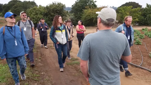 People walk on dirt strip between crop fields