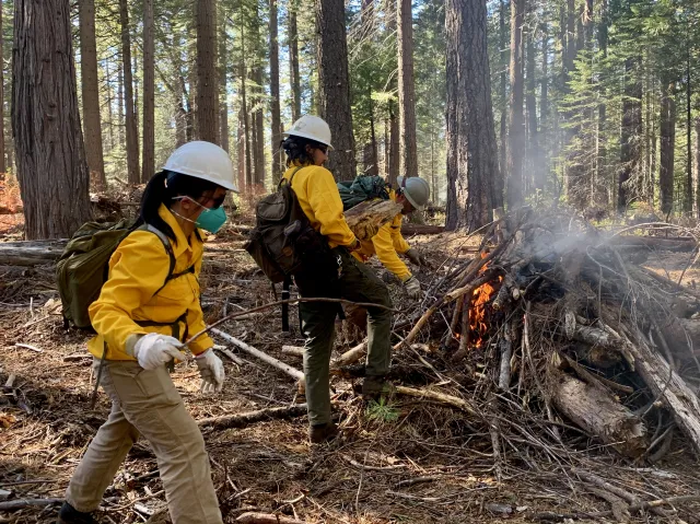 Katie Low, in foreground wearing helmet, mask and yellow coat, joins other burners as they add material to burn piles