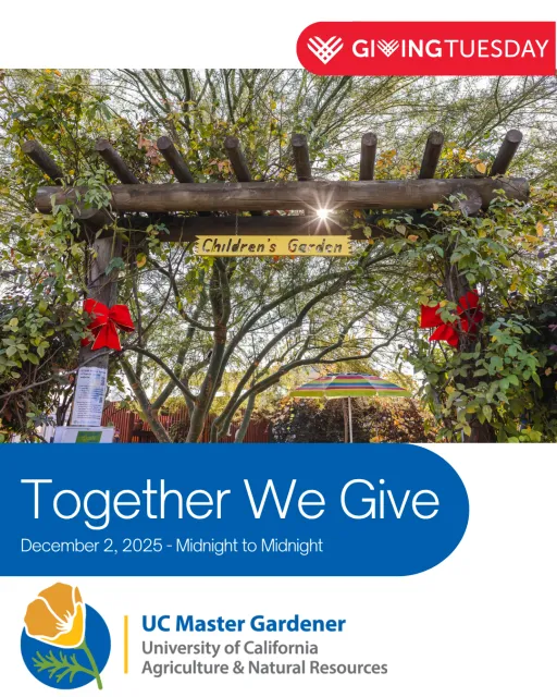 Giving Tuesday December 2