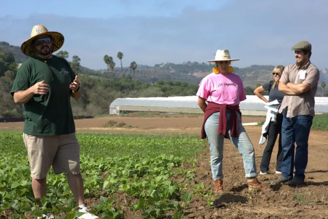 Four people stand by a field of green beens