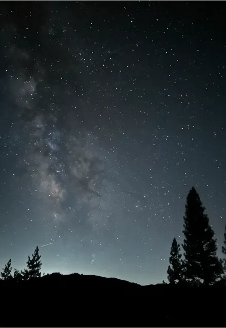 Stars dot the night sky over trees
